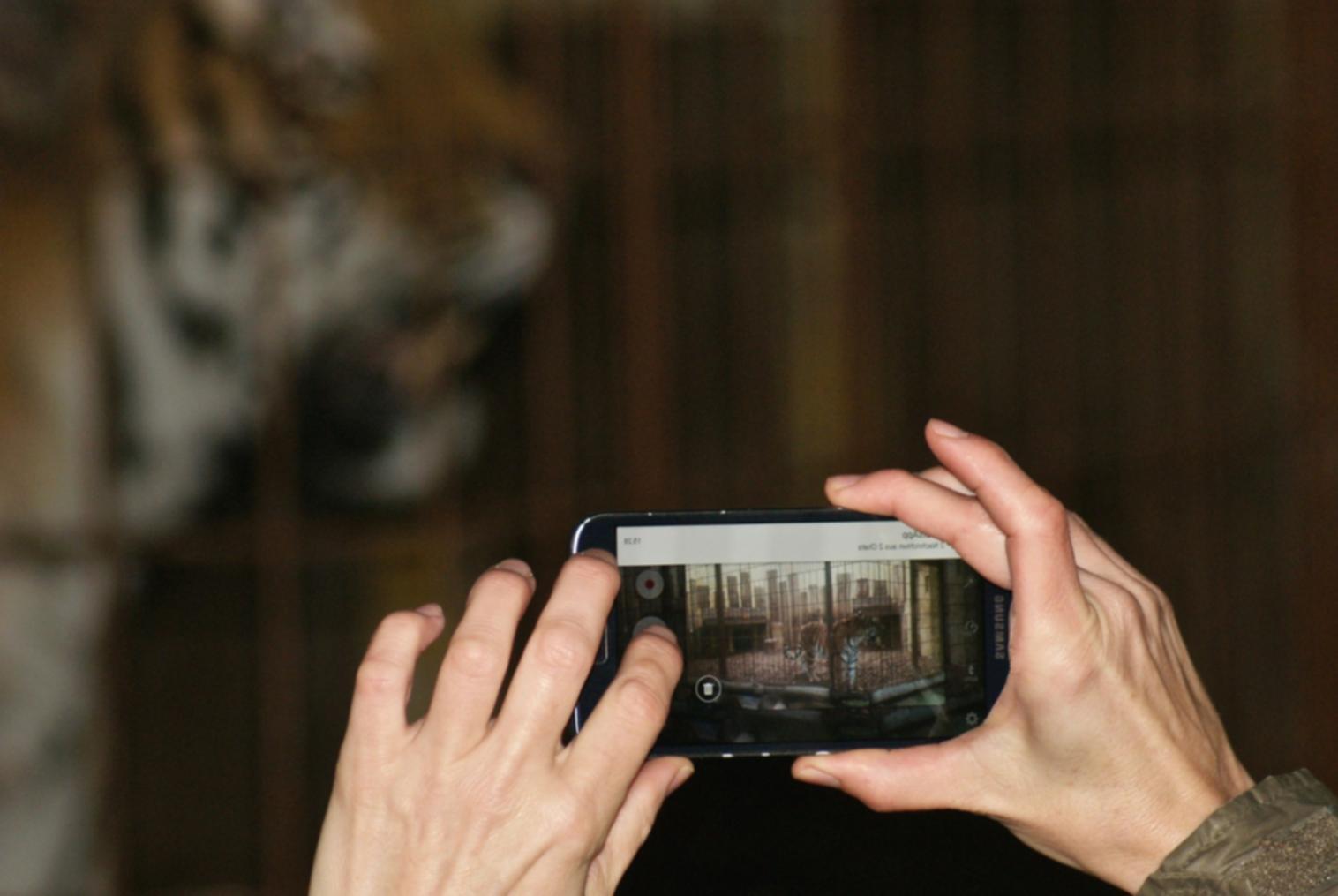 Social media video samples and formats prepared by toumit
